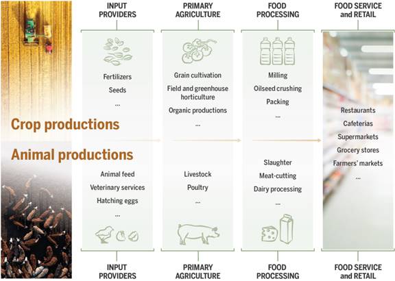 This infographic goes through the different stages of the supply chain and gives examples of actors present at each step. At one end of the chain are the input suppliers (seeds, fertilizers, animal feed). They supply the primary producers (grain crops, horticulture, livestock) who in turn supply the processors (milling, slaughtering, dairy processing). At the other end of the chain, food service and retail (restaurants, supermarkets, farmers' markets) supply consumers.