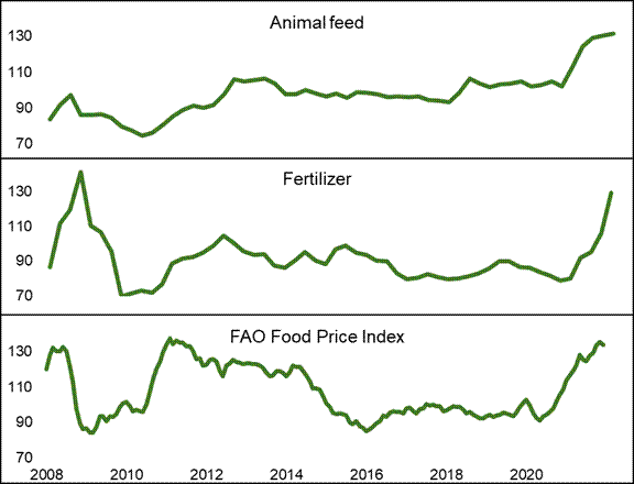 This figure compares the evolution of animal feed and fertilizer price indices in Canada with world food prices. Feed prices in Canada increased only slightly until 2020 when they increased sharply. Fertilizer prices in Canada followed the trend of world food prices: after bottoming out between 2009 and 2011, they increased in 2011 and then declined slightly until 2020. From then on, prices for both indices rose rapidly again.