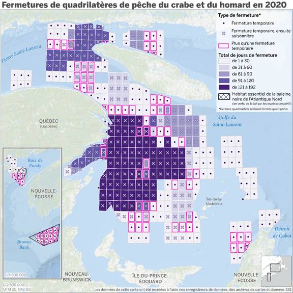 Cette carte montre le nombre de jours de fermeture temporaire ou saisonnière d’un quadrilatère de pêche dans le golfe du Saint Laurent et la baie de Fundy au cours de la saison 2020. La concentration des quadrilatères fermés pour la saison se trouve au nord de l’Île du Prince Édouard, au nord et à l’est de la Gaspésie et à l’ouest des Îles de la Madeleine, alors que la plupart des fermetures temporaires se trouvaient en périphérie de ces grilles. Aussi illustrés sont les habitats essentiels de la baleine noire de l’Atlantique Nord en vertu de la Loi sur les espèces en péril situés au sud de la Nouvelle Écosse et dans la Baie de Fundy. Les données de cette carte ont été recréées à l’aide des enregistreurs de données, des archives de cartes et données SIG.