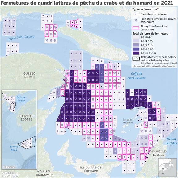 Cette carte montre le nombre de jours de fermeture temporaire ou saisonnière d’un quadrilatère de pêche  dans le golfe du Saint Laurent et la baie de Fundy au cours de la saison 2021. La concentration des quadrilatères fermés pour la saison se trouve au nord de l’Île du Prince Édouard, à l’est de la Gaspésie et au nord et à l’est des Îles de la Madeleine, alors que la plupart des fermetures temporaires se trouvaient en périphérie de ces grilles. Aussi illustrés sont les habitats essentiels de la baleine noire de l’Atlantique Nord en vertu de la Loi sur les espèces en péril situés au sud de la Nouvelle Écosse et dans la Baie de Fundy.