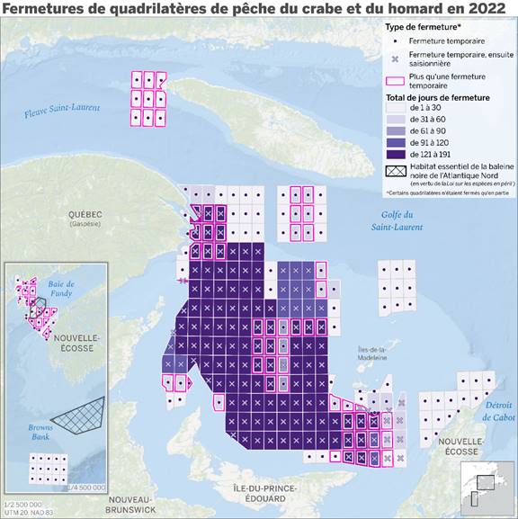 Cette carte montre le nombre de jours de fermeture temporaire ou saisonnière d’un quadrilatère de pêche  dans le golfe du Saint Laurent et la baie de Fundy au cours de la saison 2022. La concentration des quadrilatères fermés pour la saison se trouve au nord-ouest de l’Île du Prince Édouard, à l’est de la Gaspésie, au sud et à l’ouest des Îles de la Madeleine, alors que la plupart des fermetures temporaires se trouvaient en périphérie de ces grilles. Aussi illustrés sont les habitats essentiels de la baleine noire de l’Atlantique Nord en vertu de la Loi sur les espèces en péril situés au sud de la Nouvelle Écosse et dans la Baie de Fundy.