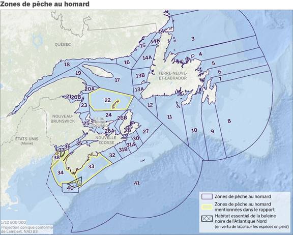 Cette carte illustre les zones de pêche au homard numérotées conformément au Règlement de pêche de l’Atlantique avec les zones 22, 33, 34 et 38 mises en évidence car elles sont mentionnées dans le rapport. Aussi illustrés sont les habitats essentiels de la baleine noire de l’Atlantique Nord en vertu de la Loi sur les espèces en péril situés au sud de la Nouvelle Écosse et dans la Baie de Fundy.