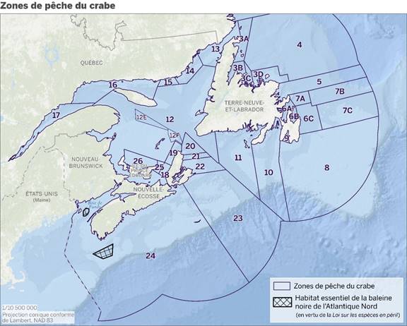 Cette carte illustre les zones de pêche du crabe numérotées, avec les zones 12E et 12F ajoutées. Aussi illustrés sont les habitats essentiels de la baleine noire de l’Atlantique Nord en vertu de la Loi sur les espèces en péril situés au sud de la Nouvelle Écosse et dans la Baie de Fundy.