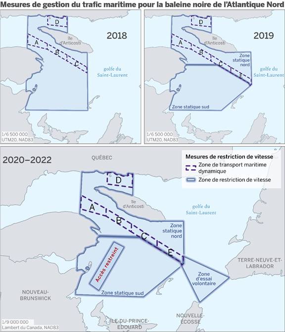 Ce triptyque de cartes illustre les mesures de restriction de la vitesse des navires pour la protection de la baleine noire de l’Atlantique Nord dans le golfe du Saint-Laurent et la baie de Fundy en 2018, en 2019 et de 2020 à 2022. En 2018, la zone de restriction de la vitesse se concentrait autour de l’île d’Anticosti jusqu’à la côte nord-ouest de l’Île-du-Prince-Édouard et était traversée par des zones de navigation dynamique au sud et au nord de l’île d’Anticosti. En 2019, la zone de restriction de la vitesse a été élargie au-delà des Îles-de-la-Madeleine et divisée en zones statiques nord et sud. De 2020 à aujourd’hui, une zone d’essai volontaire de restriction de vitesse supplémentaire et une zone de restriction ont été ajoutées.