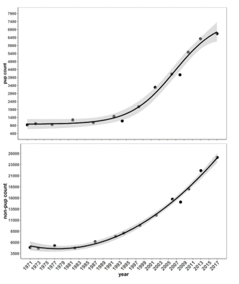 Graph showing the population increase of Steller sea lions in British Columbia between 1971 to 2017. The number of adult and juvenile Steller sea lions has increased from approximately 6,000 in 1971 to approximately 25,000 in 2017. The number of Steller sea lion pups has increased from approximately 900 in 1971 to more than 6,400 in 2017.