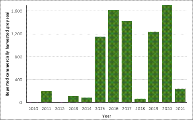 Fewer than 200 harvested grey seal were reported each year between 2010 and 2014. Between 2015 and 2017, the reported harvest increased to between approximately 1,200 and 1,600. It dropped to less than 100 in 2018, increased to 1,200 in 2019 and over 1,600 in 2020 before dropping to approximately 200 in 2021.