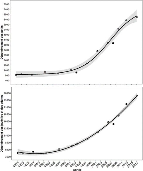 Graphique montrant la croissance de la population d’otaries de Steller en Colombie-Britannique entre 1971 et 2017. Le nombre d’otaries de Steller adultes et juvéniles est passé d’environ 6 000 en 1971 à environ 25 000 en 2017. Le nombre de petits est passé d’environ 900 en 1971 à plus de 6 400 en 2017.
