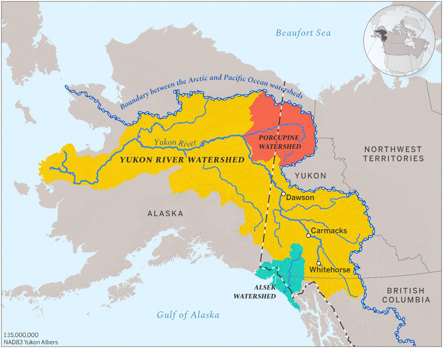 A map centered on Alaska and Yukon showing the watersheds of the Yukon River in yellow, the Alsek River in turquoise and the Porcupine River in red.