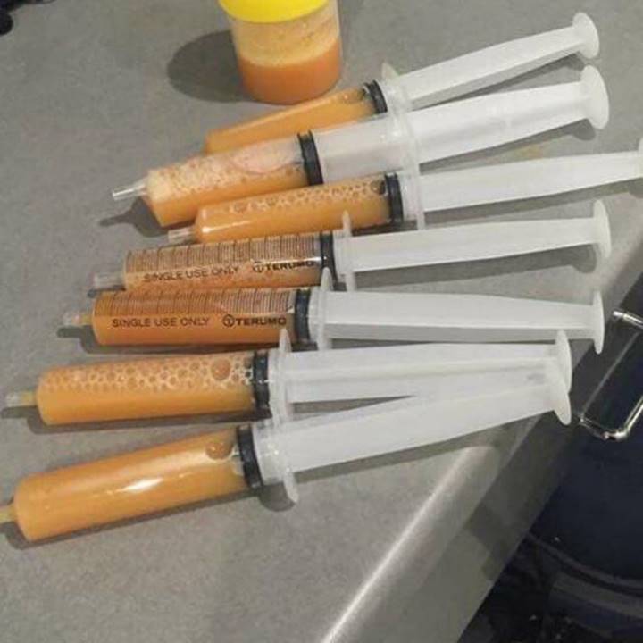 La photographie montre sept seringues et un contenant à échantillon de laboratoire sur une surface grise. Les seringues et le contenant sont remplis d’un liquide brun pâle.