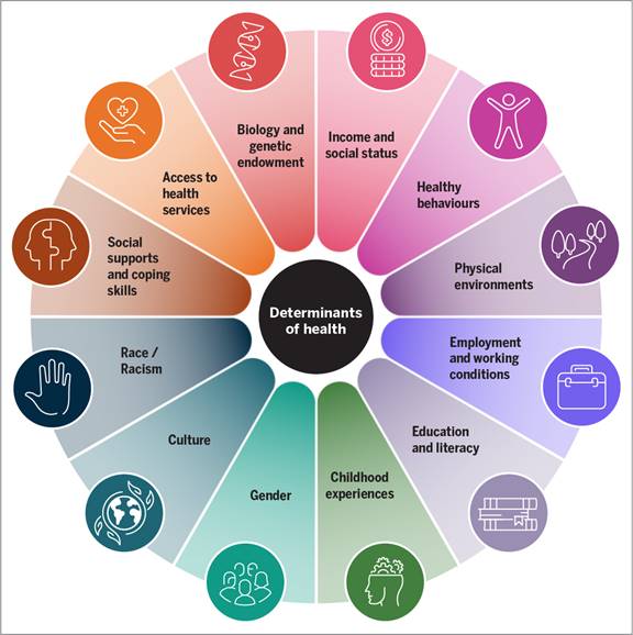 This infographic shows the some of the main determinants of health identified by the Public Health Agency of Canada. These include income and social status, employment and working conditions, education and literacy, childhood experiences, physical environments, social supports and coping skills, healthy behaviours, access to health services, biology and genetic endowment, gender, culture, and race / racism.