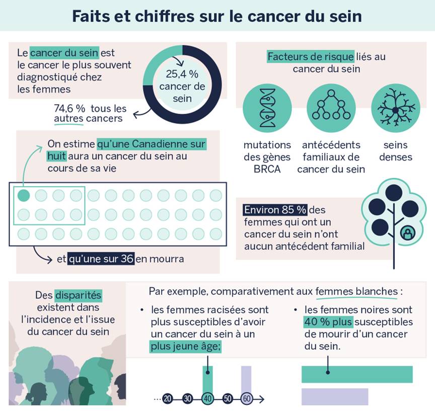 Cette figure illustre certains des faits et chiffres sur le cancer du sein au Canada qui ont été présentés au Comité pendant son étude. On y voit notamment des statistiques sur l’incidence et la mortalité du cancer du sein, sur les facteurs de risqué liés à cette maladie, et sur les disparités qui existent dans l’incidence et l’issue du cancer du sein selon la race. 