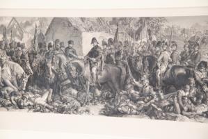 Gallerie de photos pour Wellington and Butcher After the Battle of Waterloo photo3